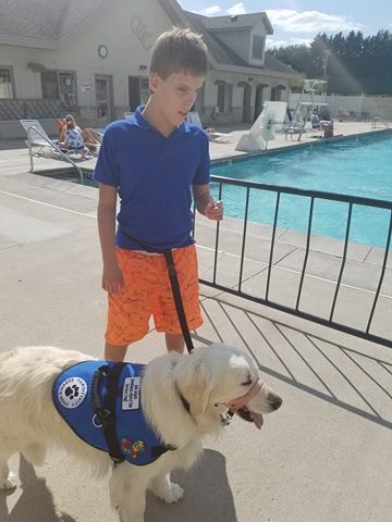 golden retriever service dog with child