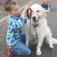 Boy and his service dog